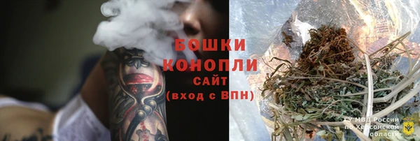 ГАЛЛЮЦИНОГЕННЫЕ ГРИБЫ Коряжма