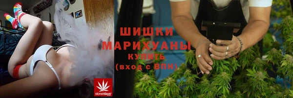 ГАЛЛЮЦИНОГЕННЫЕ ГРИБЫ Коряжма
