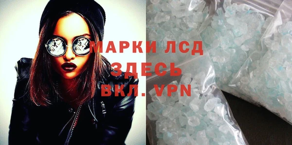 ECSTASY Бикин