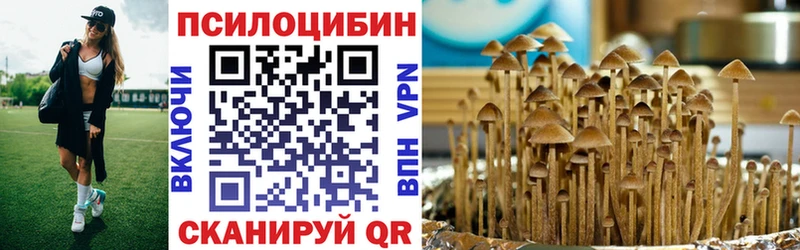 Псилоцибиновые грибы Psilocybe Кораблино